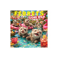 Willow Creek Press Ferrets Gone Wild 2027 Wall (häftad, eng)