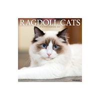 Willow Creek Press Ragdoll Cats 2027 Wall (häftad, eng)