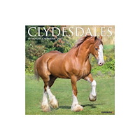 Willow Creek Press Clydesdales 2027 Wall (häftad, eng)