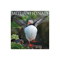 Willow Creek Press Motivationals 2027 Wall (häftad, eng)