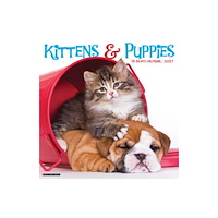 Willow Creek Press Kittens & Puppies 2027 Wall (häftad, eng)