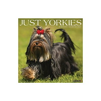 Willow Creek Press Yorkies 2027 Wall (häftad, eng)