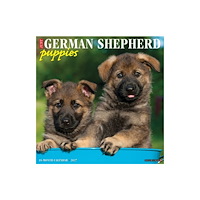 Willow Creek Press German Shepherd Puppies 2027 Wall (häftad, eng)