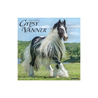 Willow Creek Press Gypsy Vanner Horse 2027 Wall (häftad, eng)