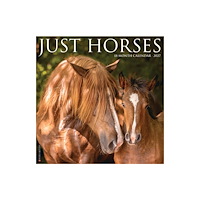 Willow Creek Press Horses 2027 Wall (häftad, eng)