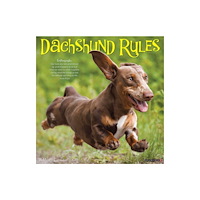 Willow Creek Press Dachshund Rules 2027 Wall (häftad, eng)