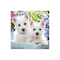 Willow Creek Press Westie Puppies 2027 Wall (häftad, eng)