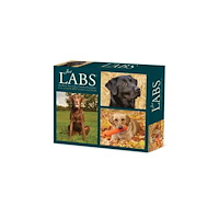 Willow Creek Press Labs 2027 Box (häftad, eng)