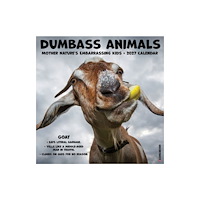 Willow Creek Press Dumbass Animals 2027 Wall (häftad, eng)