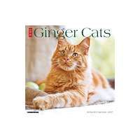 Willow Creek Press Ginger Cats 2027 Wall (häftad, eng)