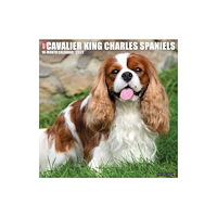 Willow Creek Press Cavalier King Charles Spaniels 2027 Wall (häftad, eng)