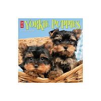 Willow Creek Press Yorkie Puppies 2027 Wall (häftad, eng)
