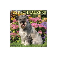 Willow Creek Press Schnauzers 2027 Wall (häftad, eng)