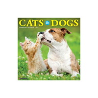 Willow Creek Press Cats & Dogs 2027 Wall (häftad, eng)