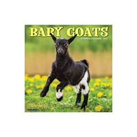 Willow Creek Press Baby Goats 2027 Wall (häftad, eng)