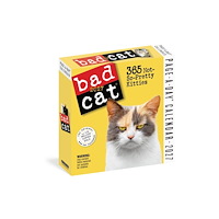 Workman Publishing Bad Cat Page-A-Day® Calendar 2027