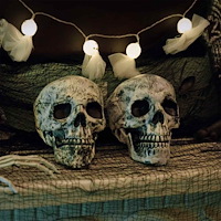 vidaXL Halloween-dödskalle SPOOKA 2 st Vit 12 x 15 x 17.5 cm Plast