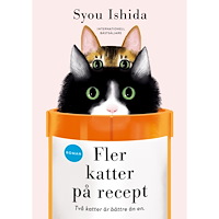 Syou Ishida Fler katter på recept (inbunden)