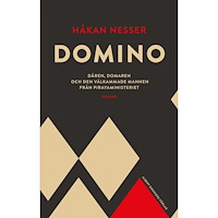 Håkan Nesser Domino : Dåren, domaren och den välkammade mannen från pirayaministeriet (inbunden)
