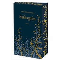 Kristin Hannah Näktergalen (bok, storpocket)