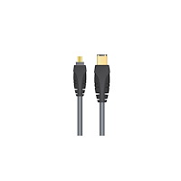 Sinox beslag Sinox Plus+ - IEEE 1394-kabel - 4 pin FireWire till 6 pin FireWire - 2 m