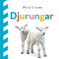 Dawn Sirett Peka och känn : djurungar (bok, board book)