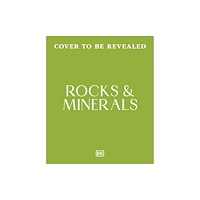 Dorling Kindersley Ltd Rocks & Minerals (inbunden, eng)