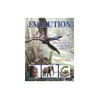 Kids Can Press Evolution (häftad, eng)