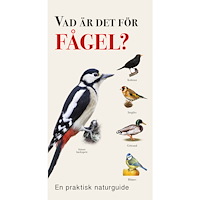 Tukan Förlag Vad är det för fågel? (häftad)
