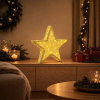 vidaXL 3D-julstjärna 50 LED-lampor Varmvit 55 x 53,5 x 10 cm