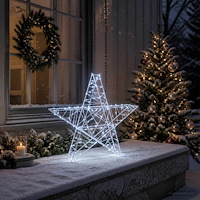 vidaXL 3D-julstjärna 120 LED-lampor Kallvit 55 x 53,5 x 10 cm