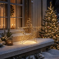 vidaXL 3D-julstjärna 120 LED-lampor Varmvit 55 x 53,5 x 10 cm