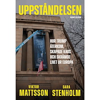 Sara Stenholm Uppståndelsen : hur Trump återkom, skapade kaos och skrämde livet ur Europa (inbunden)