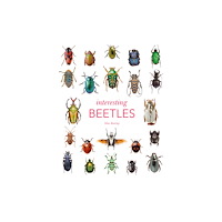 The Natural History Museum Interesting Beetles (inbunden, eng)