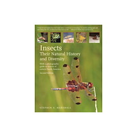 Firefly Books Ltd Insects: Their Natural History and Diversity (inbunden, eng)