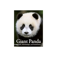 ACC Art Books Giant Panda (inbunden, eng)