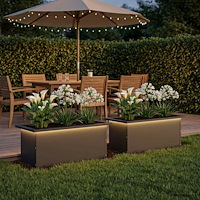 vidaXL Odlingslåda med LED 2 st Svart 30 x 60 x 30 cm Stål