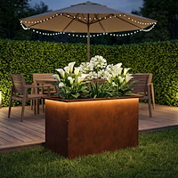 vidaXL Odlingslåda med LED Rostig 50 x 80 x 48 cm Väderbeständig stål