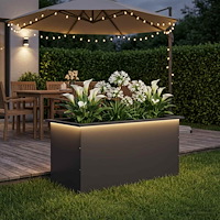 vidaXL Odlingslåda med LED Svart 50 x 100 x 48 cm Stål