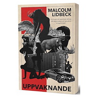 Malcolm Lidbeck Uppvaknande (inbunden)