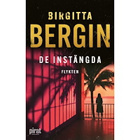 Birgitta Bergin Flykten (inbunden)