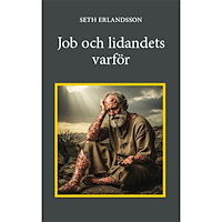 Seth Erlandsson Job och lidandets varför (inbunden)