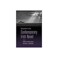 Syracuse University Press Companion to the Contemporary Irish Novel (häftad, eng)