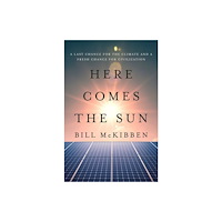 WW Norton & Co Here Comes the Sun – A Last Chance for the Climate and a Fresh Chance for Civilization (inbunden, eng)