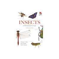 Princeton University Press Insects of Britain and Europe (häftad, eng)