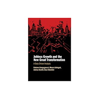 Cambridge University Press Jobless Growth and the New Great Transformation (häftad, eng)