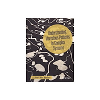 Springer Nature Switzerland AG Understanding Marvelous Patterns in Complex Systems (inbunden, eng)