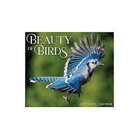 Willow Creek Press Beauty of Birds 2027 Box (häftad, eng)