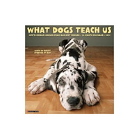 Willow Creek Press What Dogs Teach Us 2027 Wall (häftad, eng)