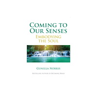 Paulist Press International,U.S. Coming to Our Senses (häftad, eng)
